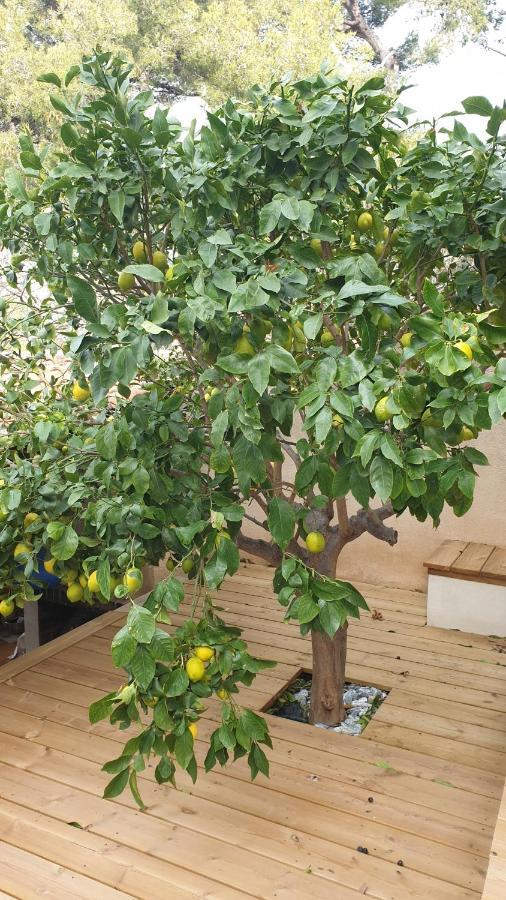 Les Terrasses Des Anthenors Bed & Breakfast Ensues-la-Redonne Ngoại thất bức ảnh