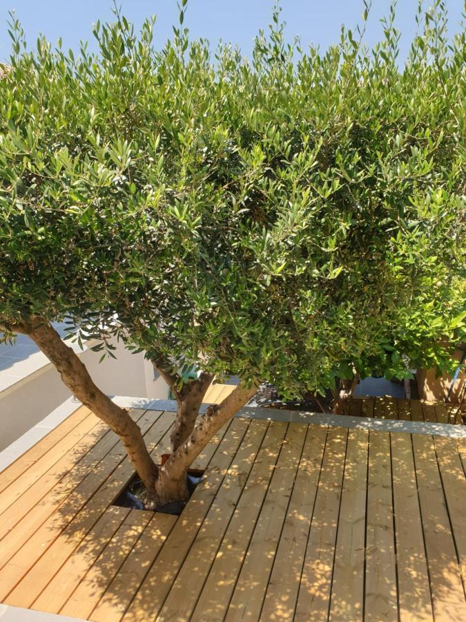 Les Terrasses Des Anthenors Bed & Breakfast Ensues-la-Redonne Ngoại thất bức ảnh